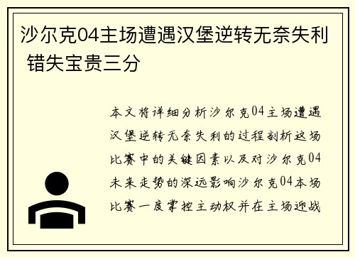 沙尔克04主场遭遇汉堡逆转无奈失利 错失宝贵三分